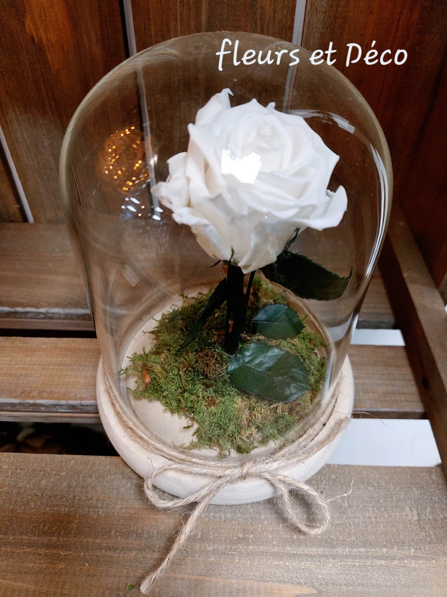 Rose éternelle blanche avec tige sous cloche Diam14 | Fleurs et Déco